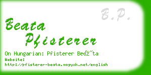 beata pfisterer business card